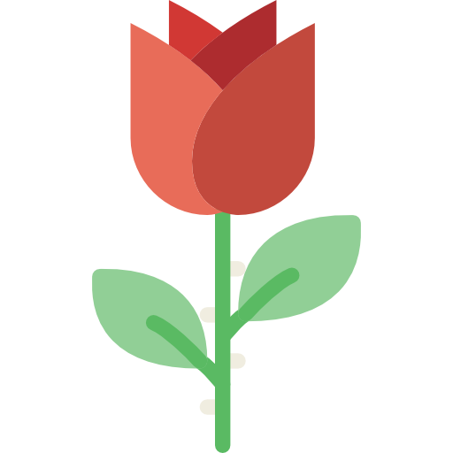 róża Basic Miscellany Flat ikona