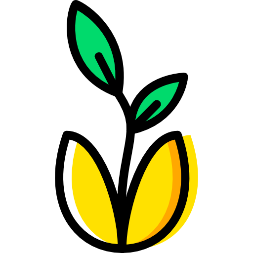 zakład Basic Miscellany Yellow ikona