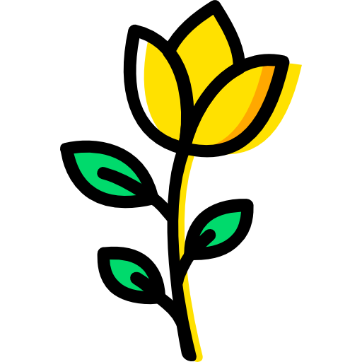 Rose Basic Miscellany Yellow icon