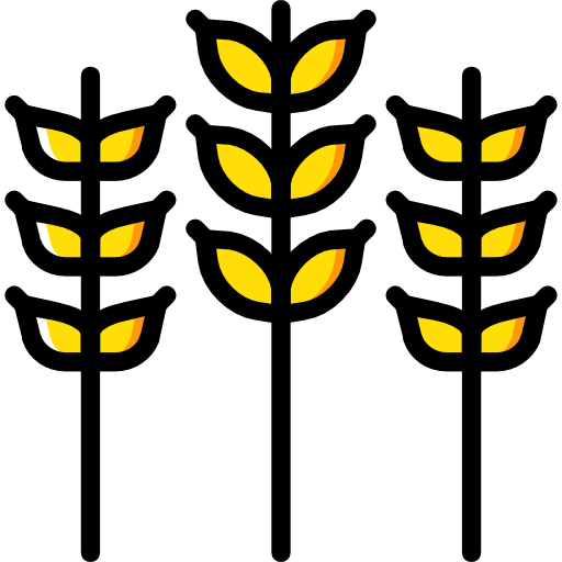 Grains Basic Miscellany Yellow icon