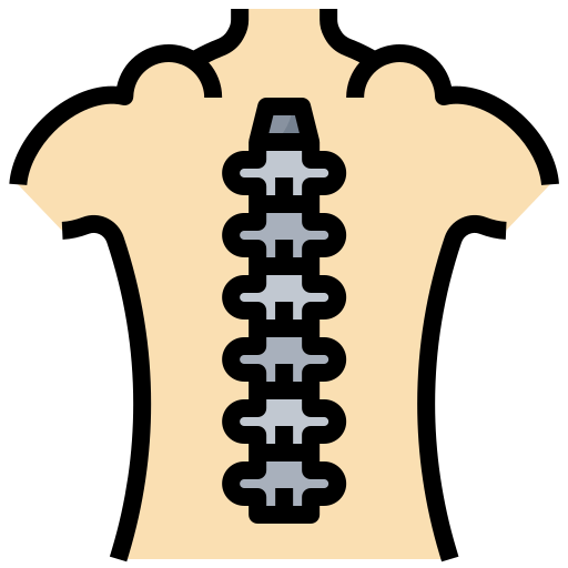 Spinal column Surang Lineal Color icon