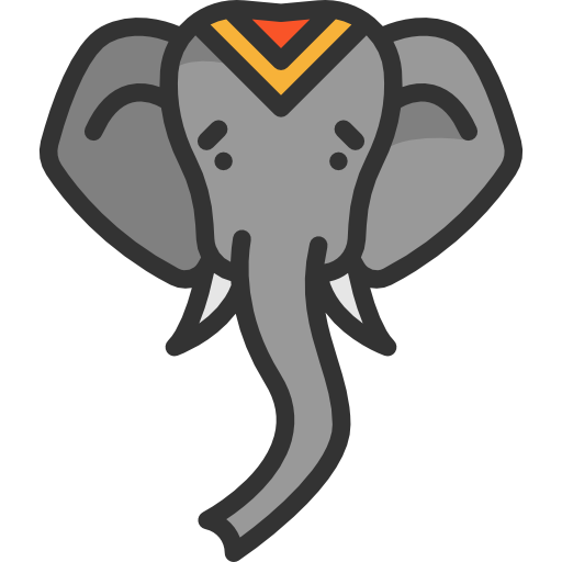 elefant Special Lineal color icon