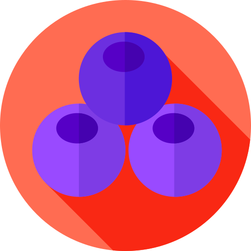 arándano Flat Circular Flat icono