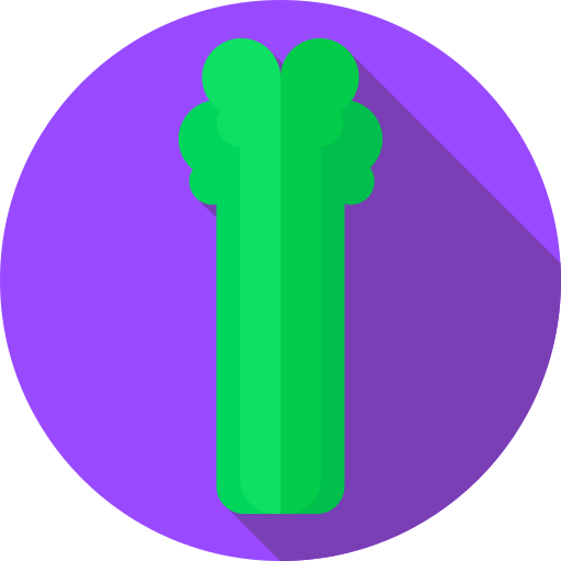 Celery Flat Circular Flat icon
