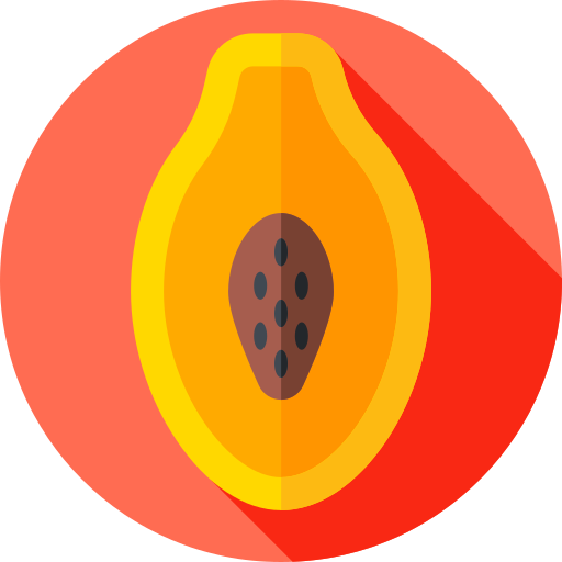 papaye Flat Circular Flat Icône