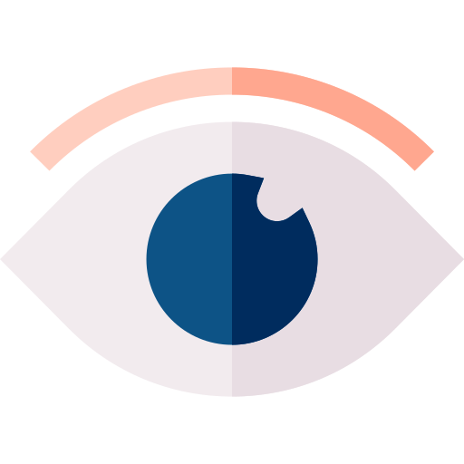 Eye Basic Straight Flat icon