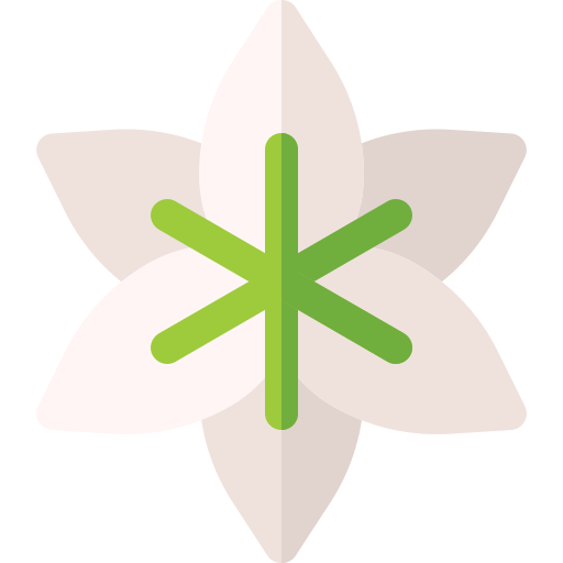 백합 Basic Rounded Flat icon