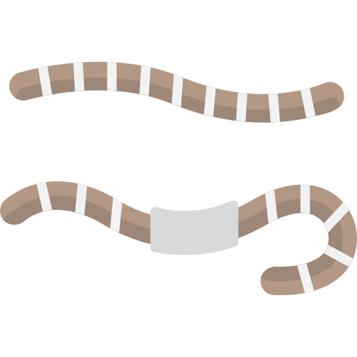 Earthworm SBTS2018 Flat icon