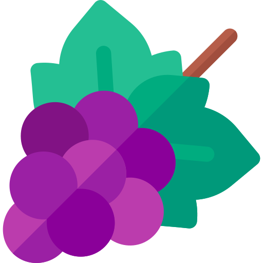 Grapes Basic Rounded Flat icon