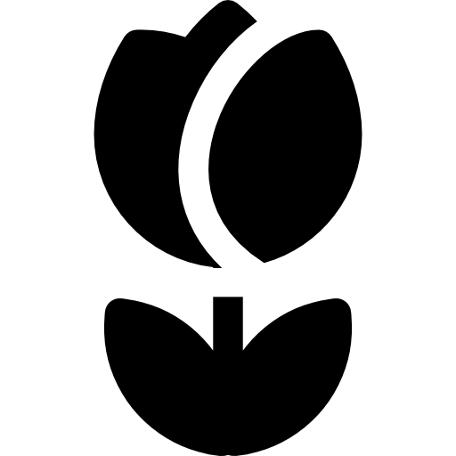 tulipán Basic Rounded Filled icono