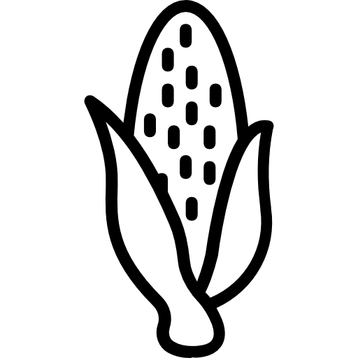 maíz Basic Miscellany Lineal icono