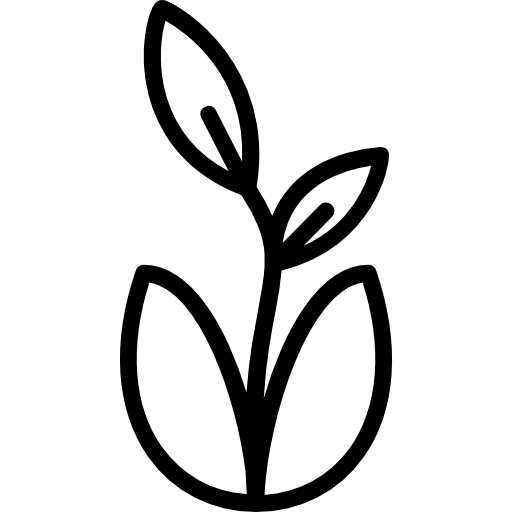 Plant Basic Miscellany Lineal icon