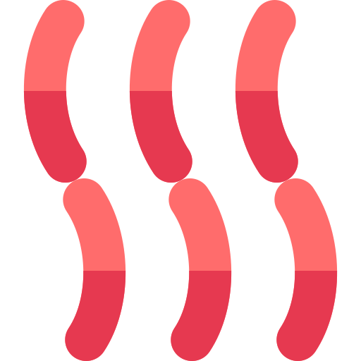 Sausages Basic Rounded Flat icon