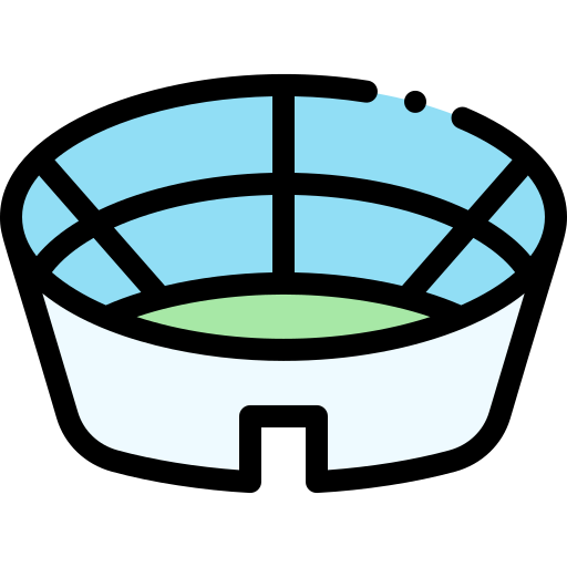 Stadium Detailed Rounded Lineal color icon