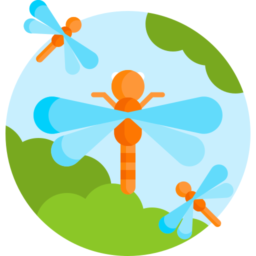 Dragonfly Detailed Flat Circular Flat icon