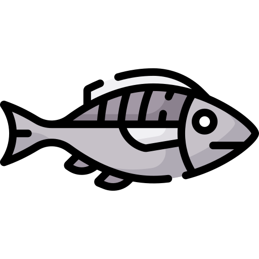peixe Special Lineal color Ícone