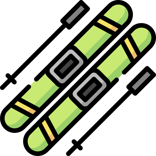 ski Special Lineal color Icône