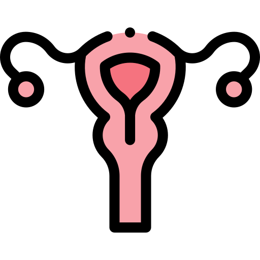 Uterus Detailed Rounded Lineal color icon