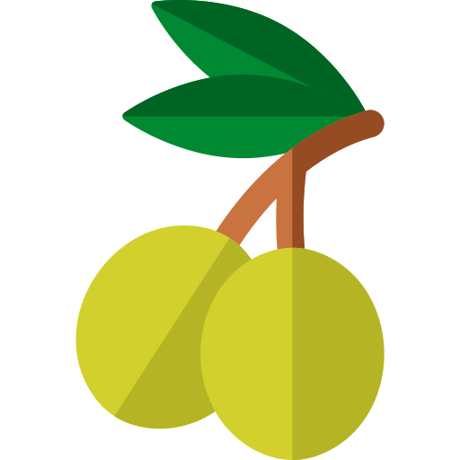 olive Basic Rounded Flat icon
