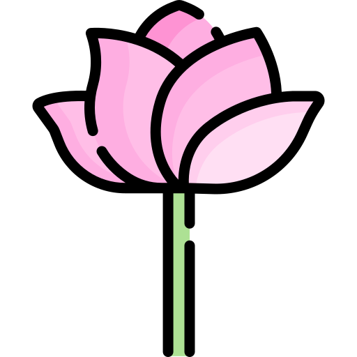 blume Special Lineal color icon