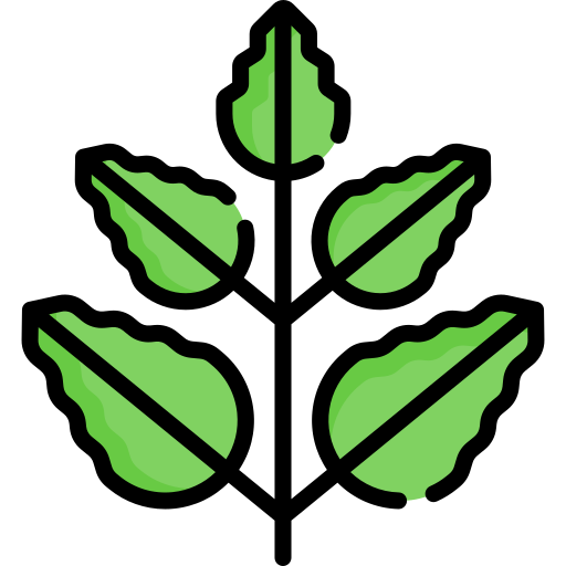 잎 Special Lineal color icon