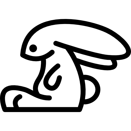 vista lateral de contorno de conejo  icono