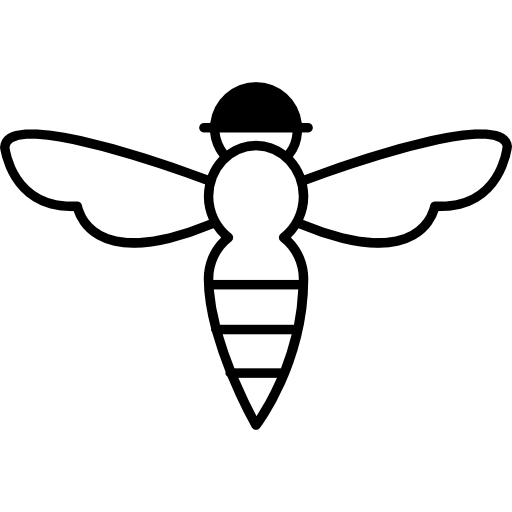 Bee with sting outline  icon