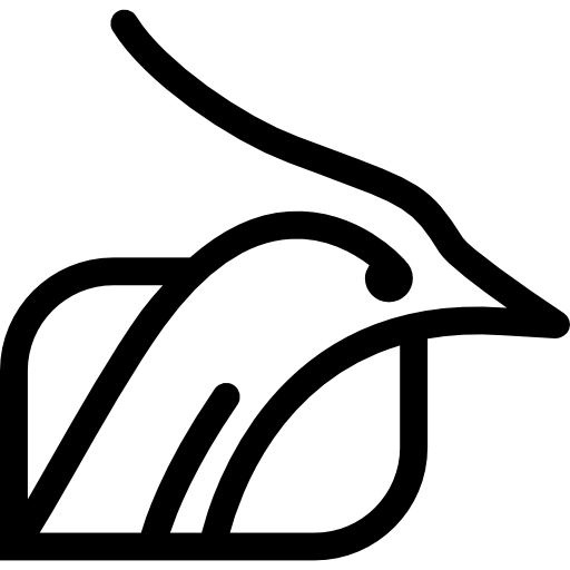 Bird head outline inside a shape background  icon