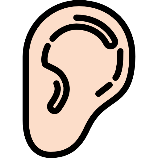 Ear Detailed Rounded Lineal color icon