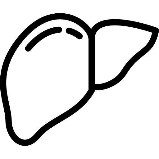 肝臓 Detailed Rounded Lineal icon