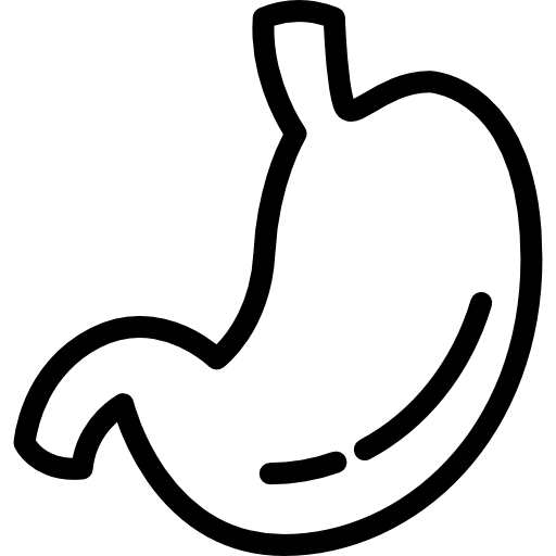 Stomach Detailed Rounded Lineal icon