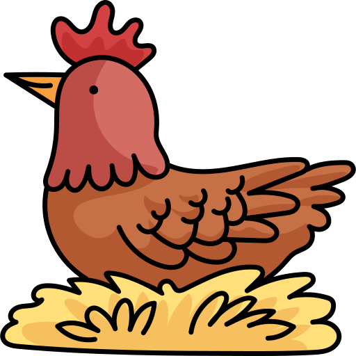 poule Hand Drawn Color Icône