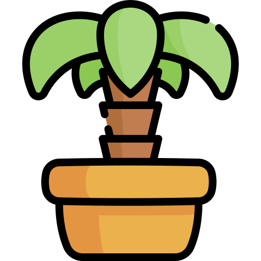 palme Special Lineal color icon