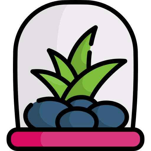 terrarium Special Lineal color icon