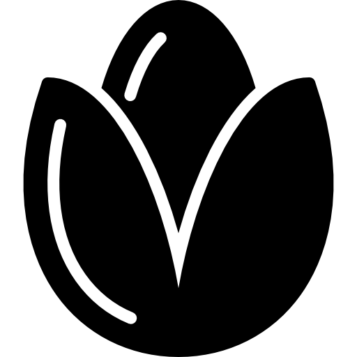 semilla Basic Miscellany Fill icono