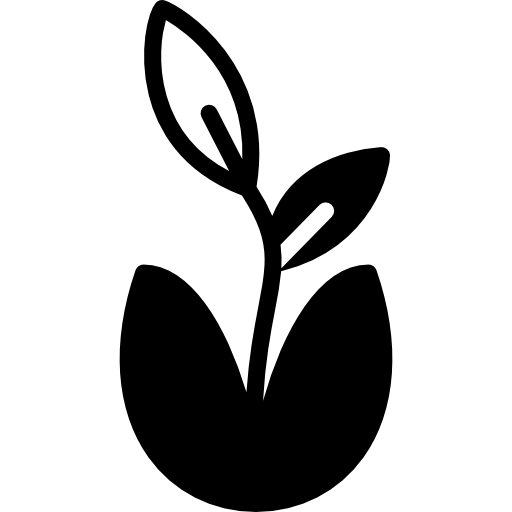 pianta Basic Miscellany Fill icona