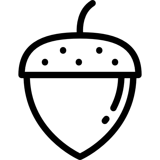 Acorn Detailed Rounded Lineal icon