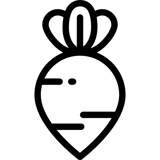 Beet Detailed Rounded Lineal icon