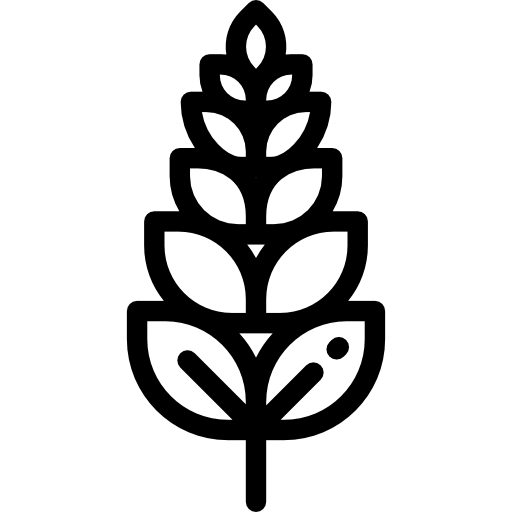 trigo Detailed Rounded Lineal icono