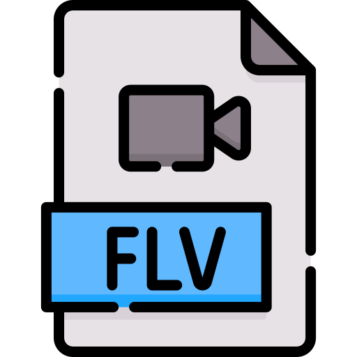 flv Special Lineal color icon