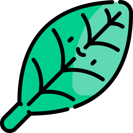 liść Kawaii Lineal color ikona