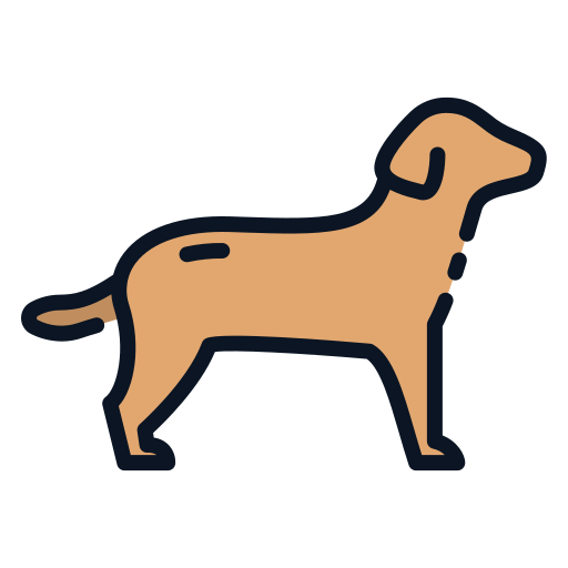Canine Good Ware Lineal Color icon