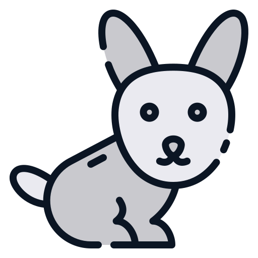 Rabbit Good Ware Lineal Color icon