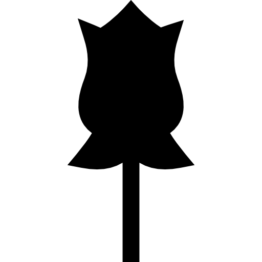 rose Basic Straight Filled icon