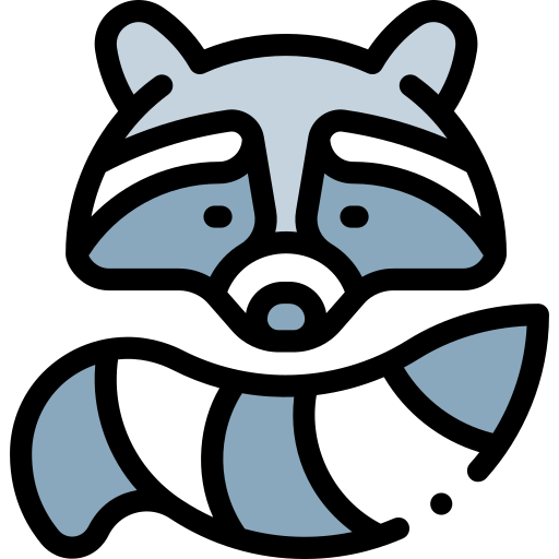 Racoon Detailed Rounded Lineal color icon