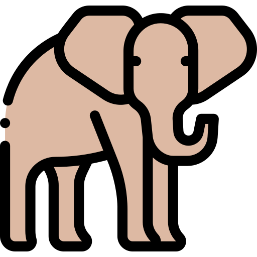Elephant Detailed Rounded Lineal color icon
