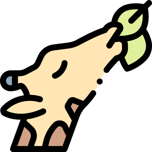 Giraffe Detailed Rounded Lineal color icon