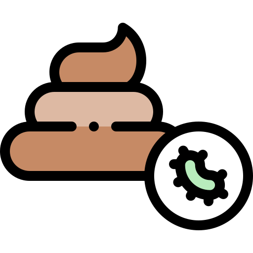 poop Detailed Rounded Lineal color icon