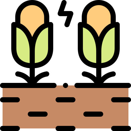 Corn Detailed Rounded Lineal color icon