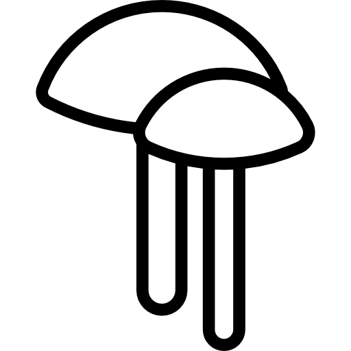 Mushrooms Special Lineal icon